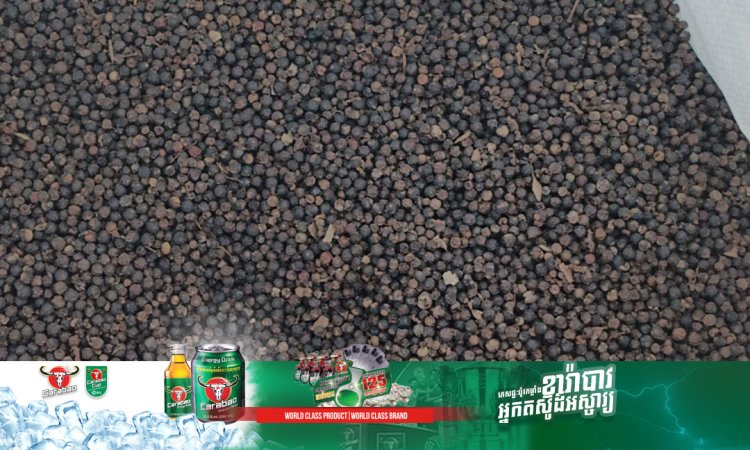 តម្លៃម្រេចកើនឡើងដល់ ២ ម៉ឺន ៥ ពាន់ រៀល ក្នុងមួយគីឡូក្រាម