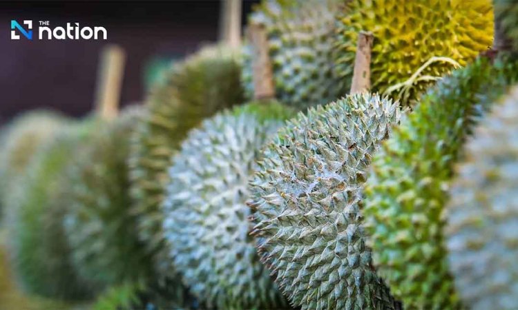 ចិនយល់ព្រមឱ្យមន្ត្រីគយធ្វើការ២៤ម៉ោងដើម្បីសម្រួលដល់ការនាំចូលទុរេនថៃ