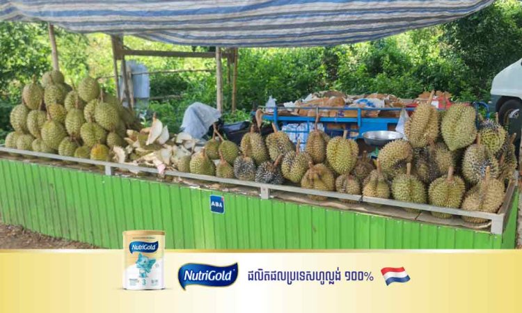 ពលរដ្ឋ ថា ទុរេនមួនថងវៀតណាម លក់ជាច្រើនកន្លែងក្នុងខេត្តត្បូងឃ្មុំ តែគ្មានការត្រួតពិនិត្យ