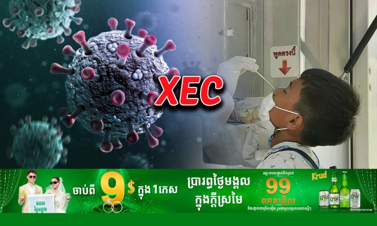 ការពារខ្លួន! ថៃ ព្រមានថា អូមីក្រុងបំប្លែងថ្មី XEC ឆ្លងលឿនជាងផ្តាសាយ ៧ដងឯណោះ