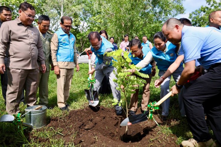 ក្រសួងបរិស្ថានបានបណ្តុះកូនឈើ ចំនួនជាង ៣,៣ លានដើមនៅក្នុងឆ្នាំ ២០២៥