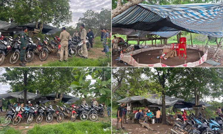 សមត្ថកិច្ចចុះបង្ក្រាបសង្វៀនជល់មាន់មួយកន្លែង ឃាត់ខ្លួនមនុស្សបាន១១នាក់