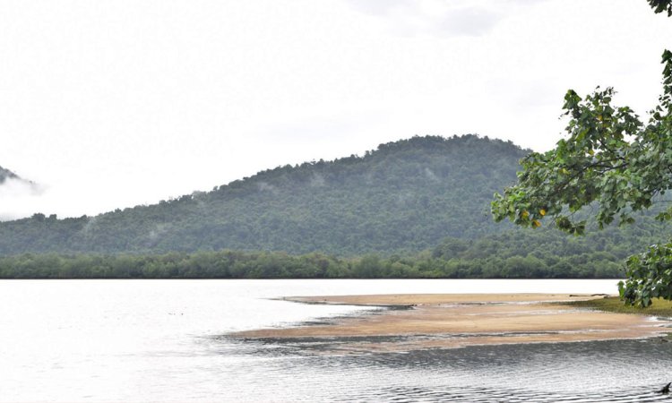 ក្រុមហ៊ុនវិនិយោគមួយគ្រោងបូមខ្សាច់ព្រែកកោះប៉ោ ទៅផ្គត់ផ្គង់ធ្វើតារាងវាយកូនហ្គោលនៅជប៉ុន