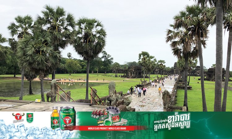 បង្គោលអង់តែនទូរសព្ទសិប្បនិម្មិត ចំនួន ២១ បន្ថែមទៀត នឹងត្រូវដំឡើងនៅតំបន់អង្គរ