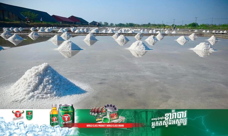 តម្លៃទីផ្សារអំបិលបានកើនឡើងវិញ ក្រោយកសិករផ្អាកការផលិត